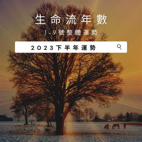 生命数字流年2023|2023生命流年數看整體運勢，找到年度幸運方向（含。